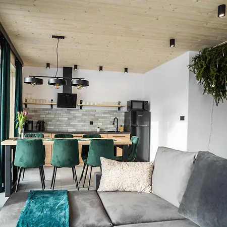 Tatrzanskie Tarasy Luxury Chalets Ciche Male Exterior photo