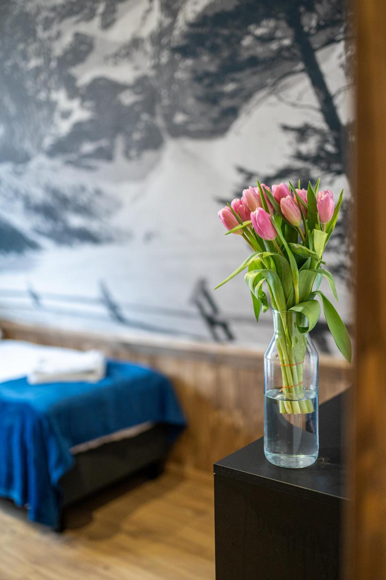 Chalet Tatrzanskie Tarasy Luxury Ciche Male